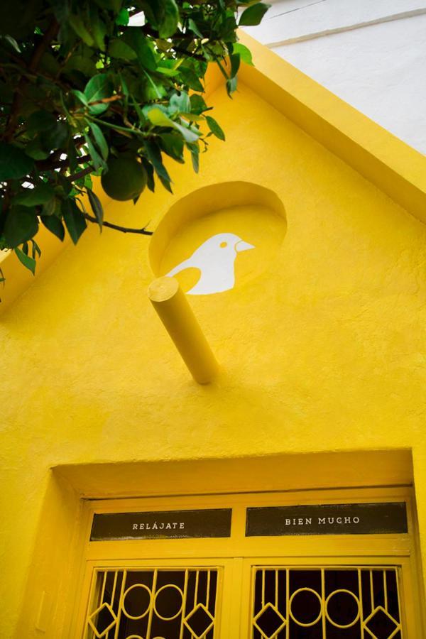 Casa Canario Hostel Guadalajara Exterior foto