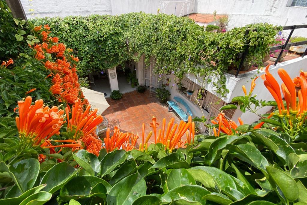 Casa Canario Hostel Guadalajara Exterior foto
